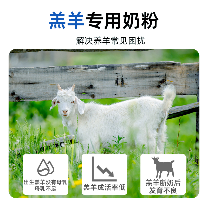 临期拆罐散装羊奶粉：给新生小羊羔、小猪仔、犊牛及蜜袋鼬的最佳营养补给站！