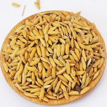 Farmhouse Self-breed with shell rice paddy rice paddy 250g Rice Fed Birds Chicken Duck Pigeon Pet Feed Grilled Rice Wine