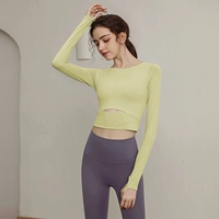 Водоросли желтые