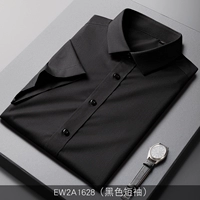 EW2A1628 (черный короткий рукав)