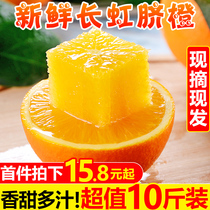 Changhong navel orange 10 kg fresh seasonal pregnant women fruit sweet and sour Zigui jelly hand-peeled orange FCL 5