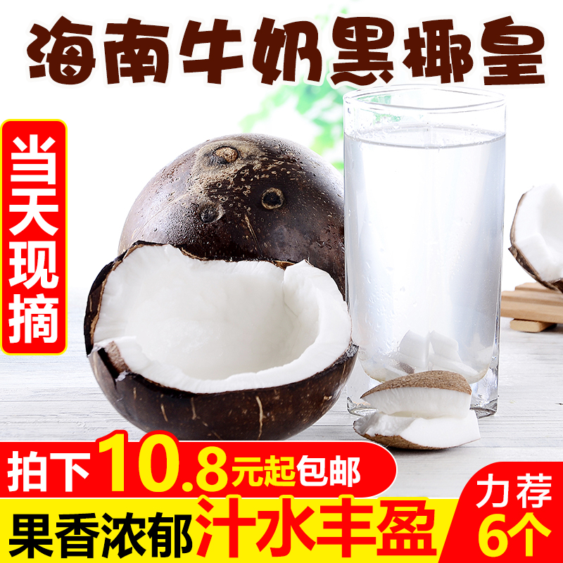 Hainan Milk Black Coconut 6 Fresh Seasonal Fruits Coconut Queen Old Coconut Meat Coconut Milk Frozen