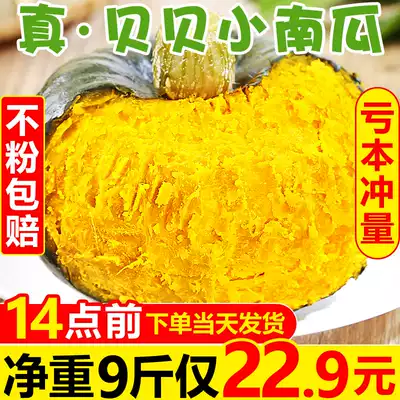 Beibei Pumpkin Chestnut Flavor Pumpkin 9 Jin Fresh Vegetables Authentic Japanese Sweet Glutinous Pumpkin Baby Non-staple Food 5