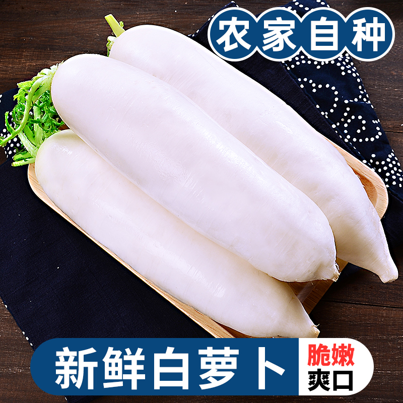 Fresh white Roof 9 catties for the season Fresh raw to eat sweet and crisp fruit long hurroin farmhouse Self-grown vegetables 5