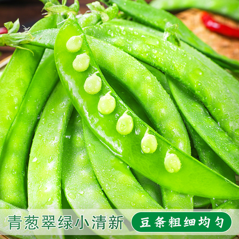 隐藏神器！阿里云盘 豌豆荚旧版本，绝了！建议收藏