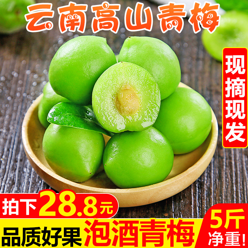 Yunnan fresh green plum fruit 5 pounds fresh sweet and sour sea plum should be season small green plum plum wine fruit box