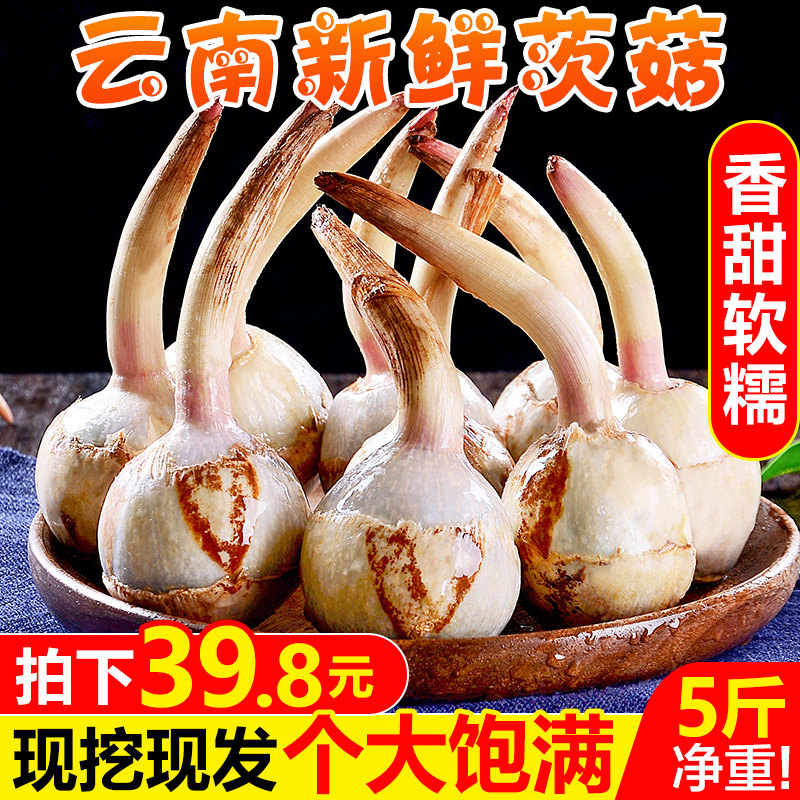 Yunnan fresh tmushroom 5 kg white charity cuzzi tusk tusk grass vegetables are specially produced