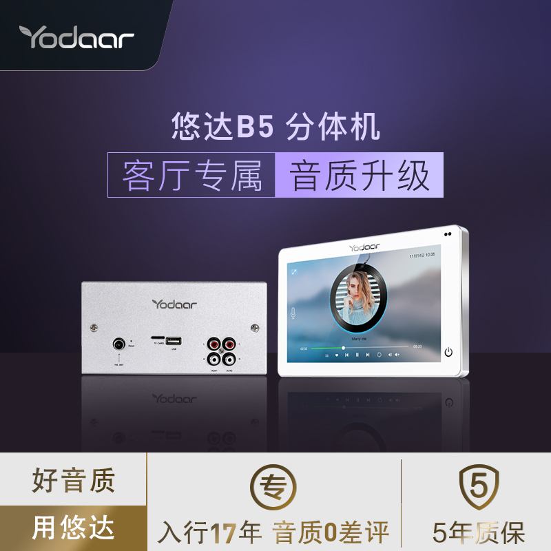 yodaar yo-yo B5 living room background music system host suit family living room ceiling suction top sound