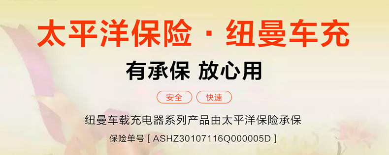 chargeur 2.1A, 2A - Ref 1294777 Image 10