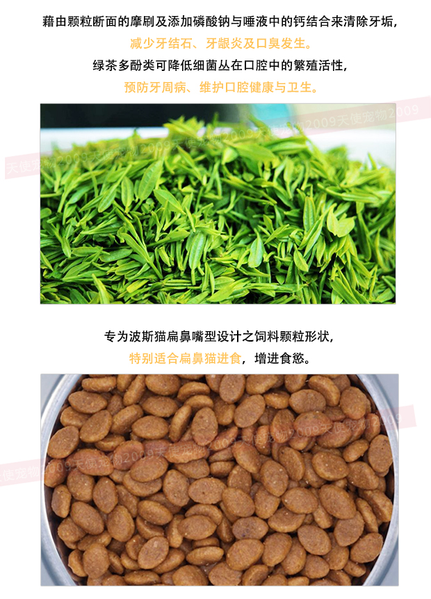 Tại chỗ! Vật nuôi thiên thần | Pháp nhập khẩu Royal Royal Cat Food Thức ăn cho mèo Ba Tư P30 2kg - Cat Staples hạt nutrience
