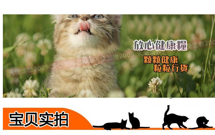 Chú mèo Royal 12 tuổi cao cấp s30 thành mèo già mèo tiệt trùng theo toa thực phẩm 2kg gốc Pháp - Cat Staples hạt meo