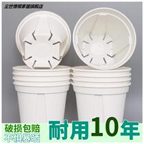 White Green Mountain Control Root Thickening Paint Rooting Breathable Varnish Vascular Pot Nordic ins Wind Heat Plant Green Plant Balcony