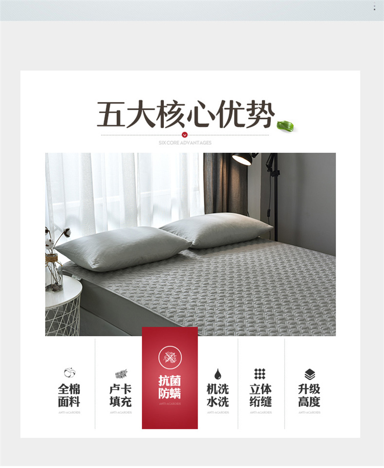 Cotton kháng khuẩn giường một mảnh đệm bông Simmons bảo vệ bìa ren bông giường bìa mỏng màu nâu đệm bìa Ga phủ giường