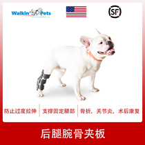 American WalkinPets dog Canine hind limb leg joint splint surgery after fixing injured ligament fracture hip bone