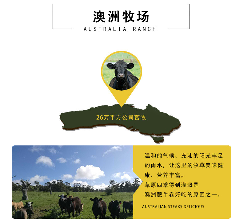 澳洲进口 A级新鲜雪花肥牛砖 3.4斤 图3