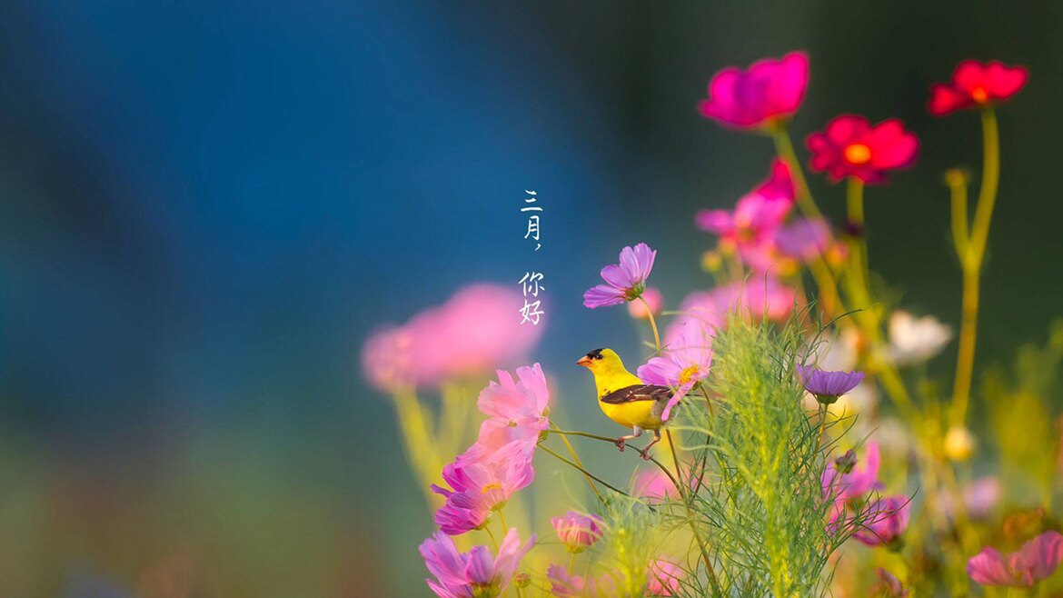 亲亲农家味干货土特产