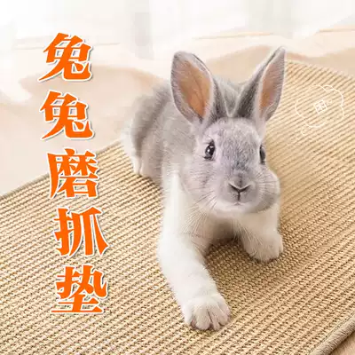Rabbit claw grinding board Pet boredom scratching board Anti-scratch special nail grinding planing pad Rabbit special claw grinding artifact