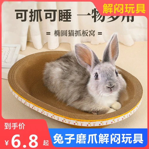 Артефакты шлифования кролика измельчающие шлифовальные плиты для ногтей, шлифовающие зубы Специальные продукты