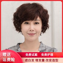 Charm Sidel middle-aged and elderly wig female short hair short roll fluffy mother real hair old man chemotherapy natural wig set