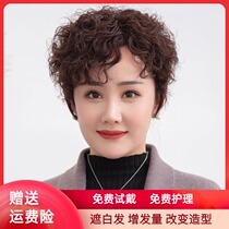 New hair set wig female short hair short curly hair oblique bangs fluffy real hair silk middle-aged and elderly wig full head cover