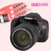 Máy ảnh kỹ thuật số DSLR Canon / Canon EOS 550D nhập cảnh video chụp ảnh HD tour 60D - SLR kỹ thuật số chuyên nghiệp