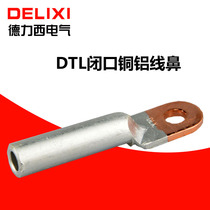 Dresi national standard A grade DTL-95 copper aluminum transition wiring terminal choke oil closed-end wiring nose 16 50