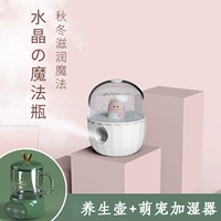 Health Pot [Glass Model] + Симпатичный увлажнитель домашних животных