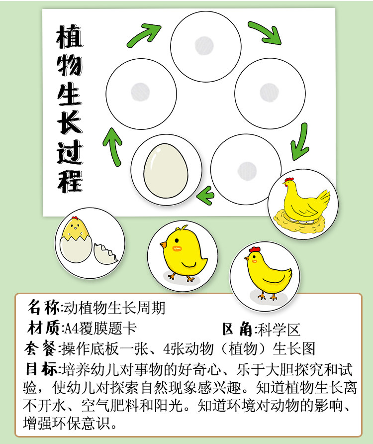 幼儿园科学区儿童早教游戏玩具自然角动植物成长周期观察生长过程