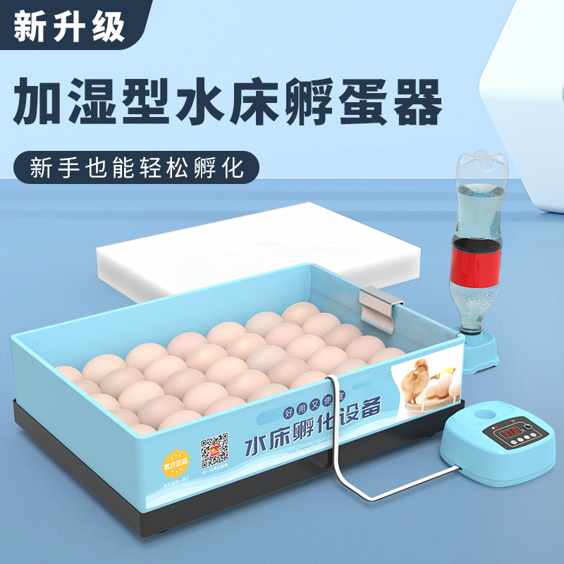 Incubator Smart Home Small Incubator Egg Incubator Mini Waterbed Incubator Chick Rutin Chicken Incubator