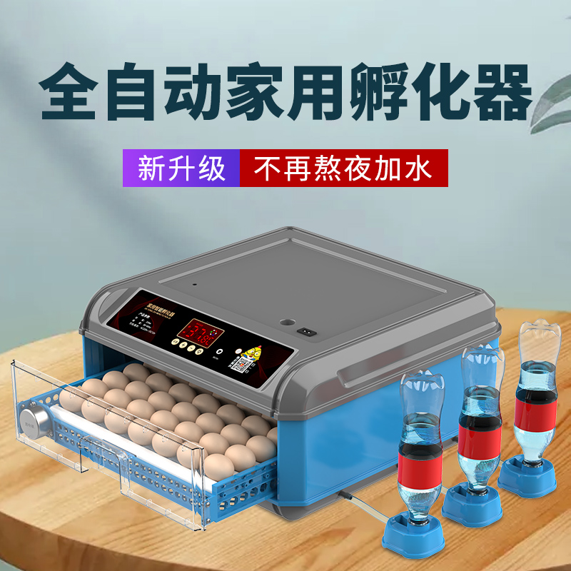 Hatchery Small Home Mini Incubator Fully Automatic Intelligent Incubation Case Chicken Duck Goose Pigeon Parrot Incubators