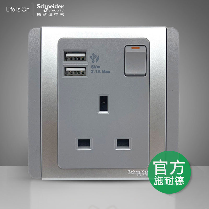 Schneider Switch Socket E3000 Silver Gray Open 13A Socket with Switch with Dual-mouth USB 2 1A