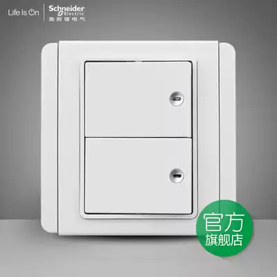 Schneider switch socket E3000 Metropolis series White double switch single control switch with LED light