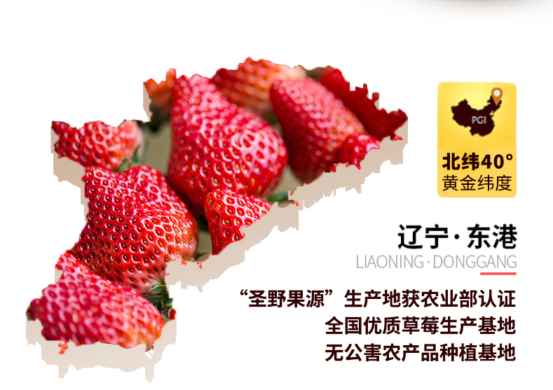 圣野果源 丹东东港 99红颜奶油草莓 3斤 图5