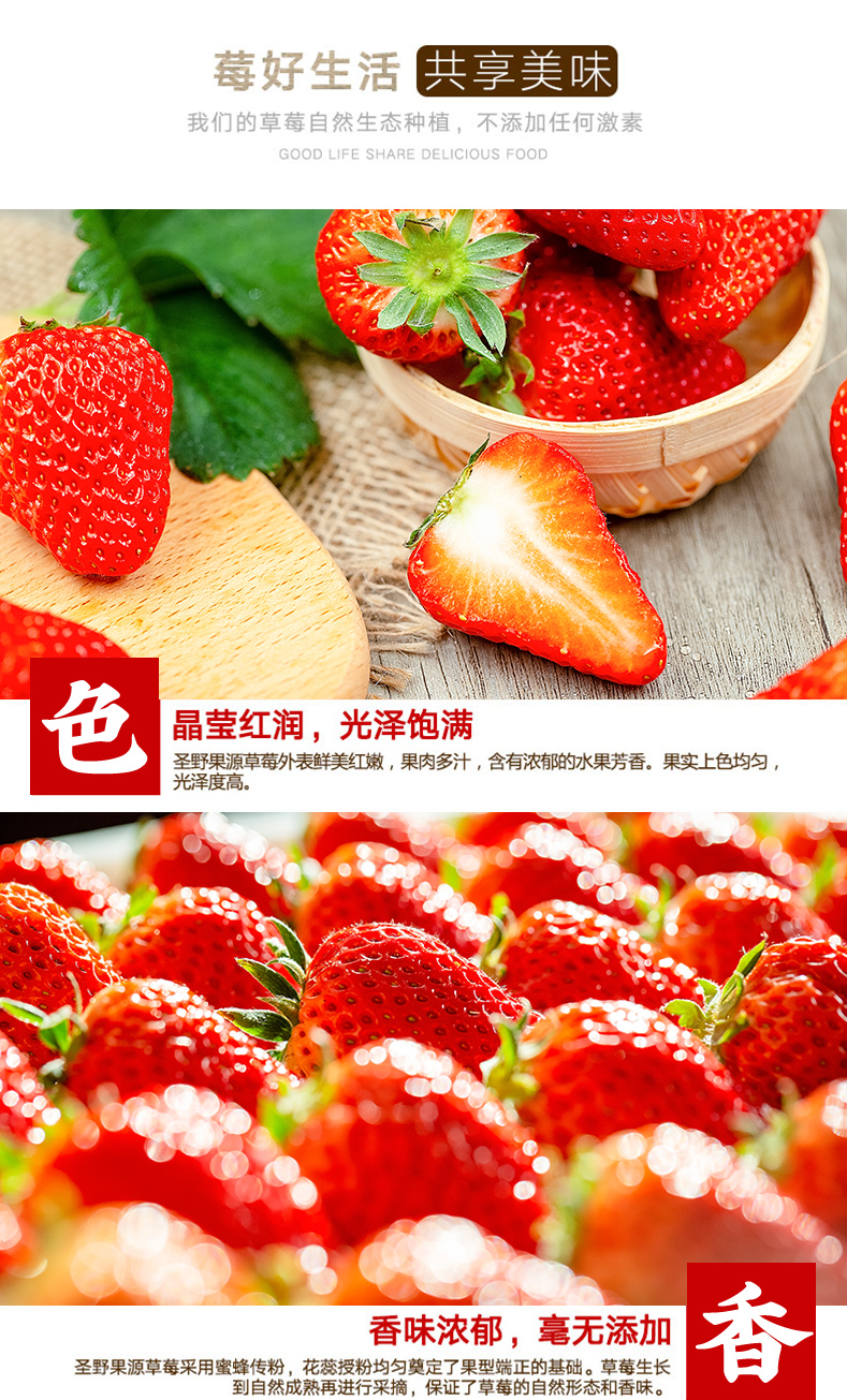 圣野果源 丹东东港 99红颜奶油草莓 3斤 图7