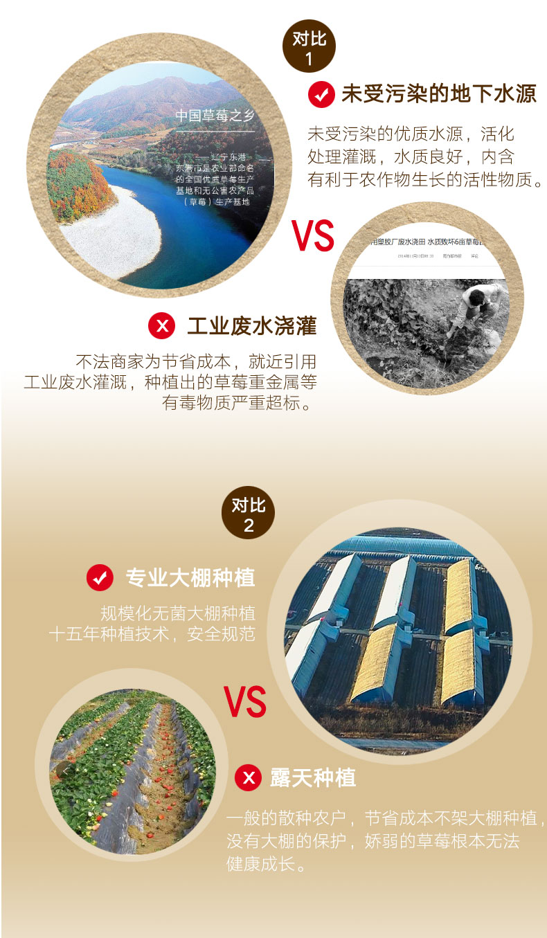 圣野果源 丹东东港 99红颜奶油草莓 3斤 图11