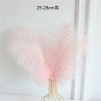 5 легких порошковых волос верблюжьи птицы (исключая вазы)