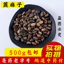 Full of large new castor bean Chinese herbal medicine 500g wild castor bean seed grate seed castor bean seed