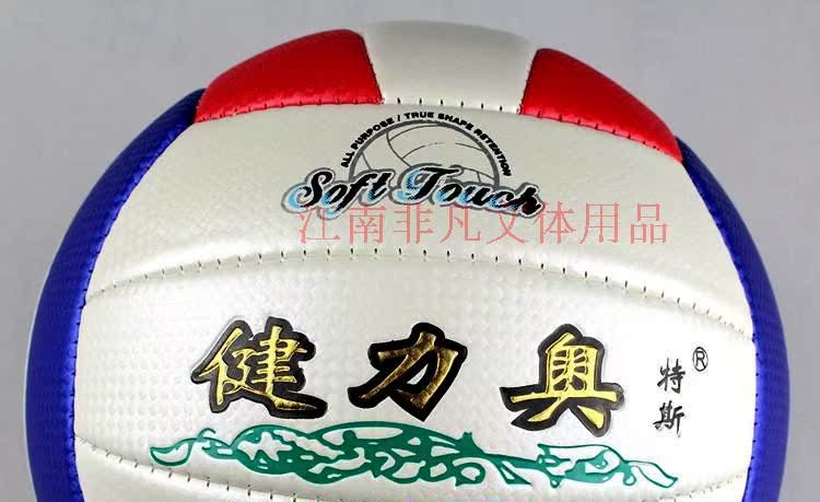 Ballon de volley - Ref 2012212 Image 4