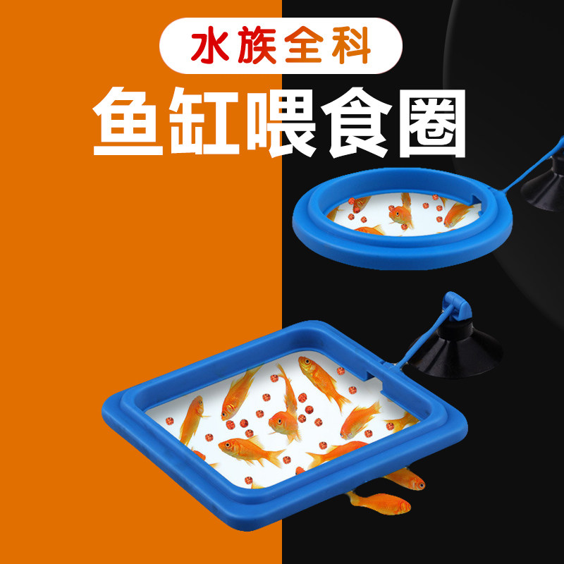 Fish tank feeding ring aquarium food eating foods feeding ring small fish tank feeding ring