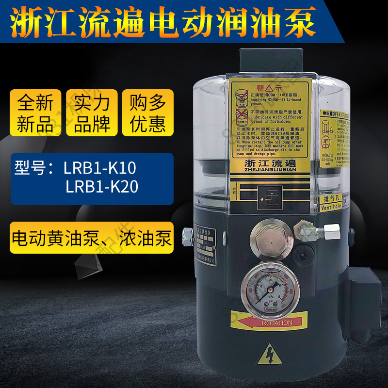 Zhejiang Flow Everywhere Electric Grease Lubrication Pump LRB2-K20 Flush Bed Electric Cream Pump LRB1-LK20 2ZI