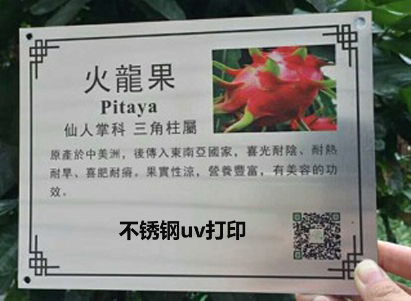 Cây thương hiệu tùy chỉnh tên thương hiệu uv thép không gỉ kim loại bảng hiệu ăn mòn vườn giới thiệu cây trồng treo bảng tên - Thiết bị đóng gói / Dấu hiệu & Thiết bị