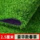 2,5 см травы высокого нового модернизации роскошная весенняя трава [50 квадратных метров]