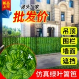 Моделирование забора Подъем горного тигрового растения на открытом воздухе Потолочный цветочные виноградные зеленые растения перегородка уродливые ротантные ландшафтные декоративные листья