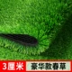 Высота травы 3 см — новая модернизированная роскошная весенняя трава [6 квадратных метров] новый национальный стандарт / рекомендация высокого класса