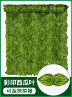 Цветовое уплотнение [1 метр*1 метр] Выход высокого имитационного арбуза может быть сплайсирован и разрезан