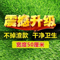 2 см очень плотная весенняя трава [50 см в ширину и 200 см в длину]