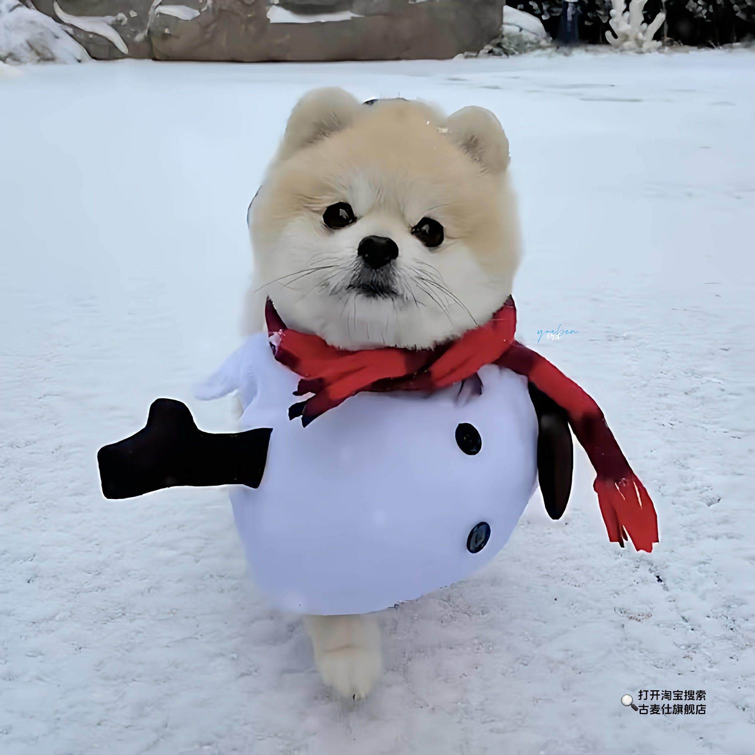 [Winter Dog Coat]Puppy Snowman Coat Little Reindeer Outfit Small Dog Outdoor Cute Warm Decoration