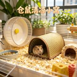 Hamster Summer Cooling Gadget, Summer Ice House, Ice Silk Golden Hamster, Guinea Pig Ceramic Nest, Cage Ice Nest for Sleeping
