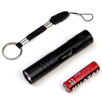 LED mini bright light portable home outdoor medical student childrens small flashlight Replaceable No 5 battery flashlight