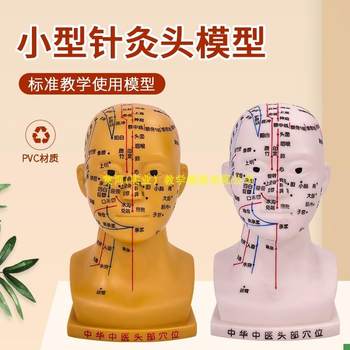 20cm Small Acupuncture Head Model with Acupuncture Points and Meridians for Massage, N-Acupuncture Head with Four Functional Acupoints Model